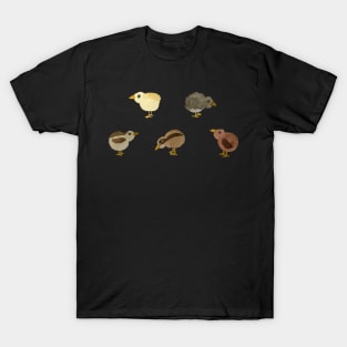 Baby chicks T-Shirt